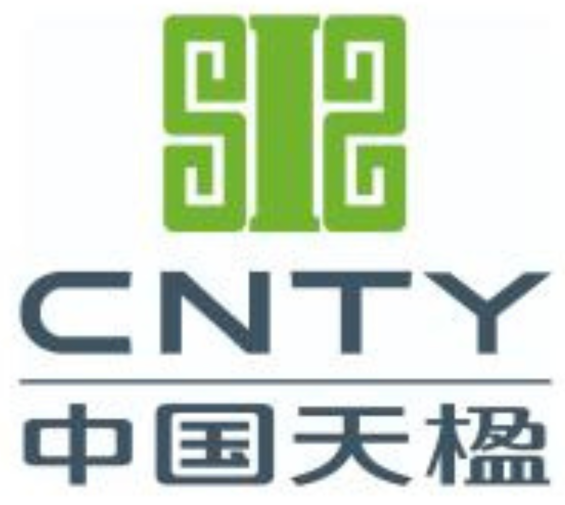ChinaTianying Inc.